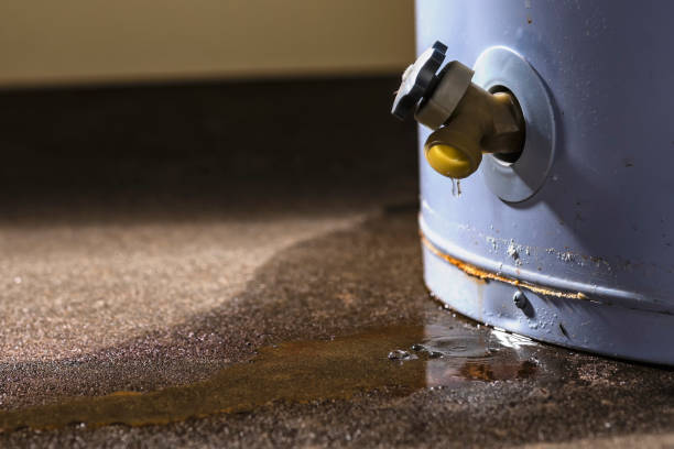 Best Flooded house restoration  in Lake Shore, WA