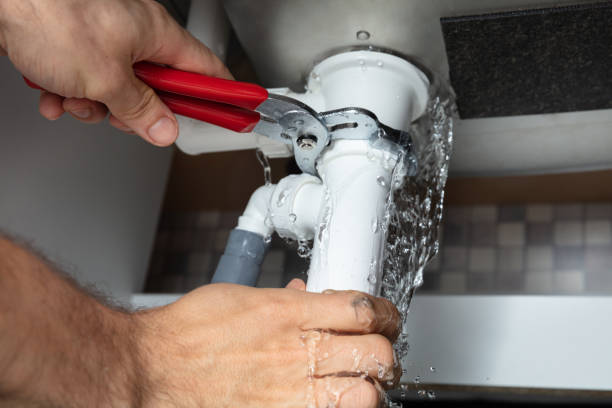 Best Ceiling water damage repair  in Lake Shore, WA