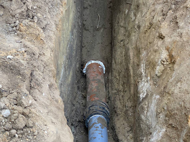 Best Professional water damage repair  in Lake Shore, WA