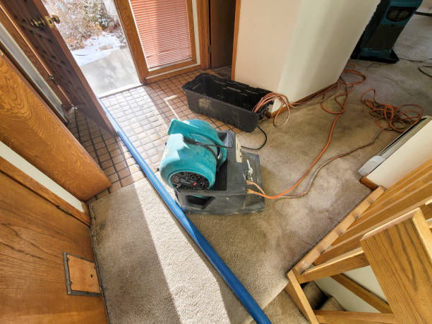 Best Fire Damage Restoration  in Lake Shore, WA