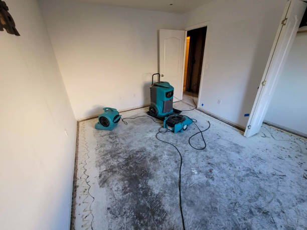 Best Water damage restoration experts  in Lake Shore, WA