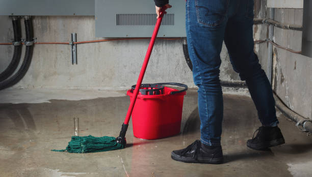 Best Fire Damage Restoration  in Lake Shore, WA