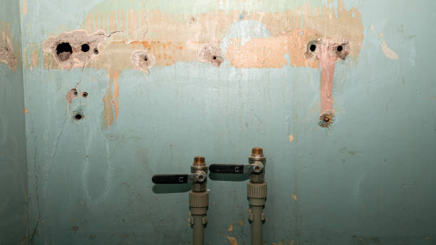 Best Water damage restoration insurance claims  in Lake Shore, WA