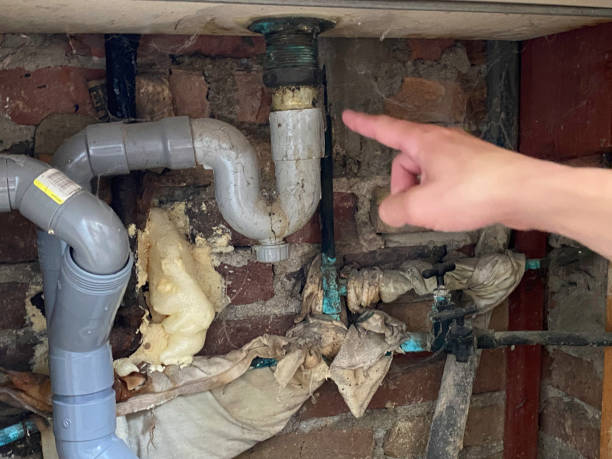 Best Water damage cleanup near me  in Lake Shore, WA