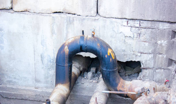 Best Mold removal after water damage  in Lake Shore, WA