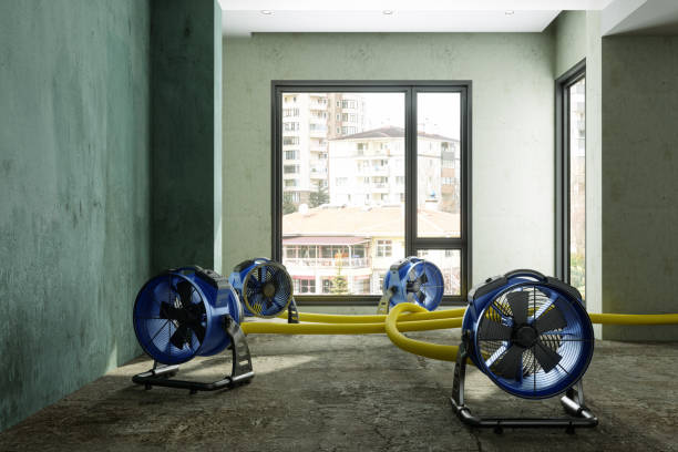 Water damage restoration insurance claims in Lake Shore, WA