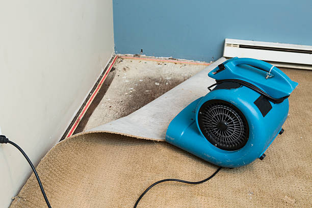 Best Sewage cleanup and water damage restoration  in Lake Shore, WA