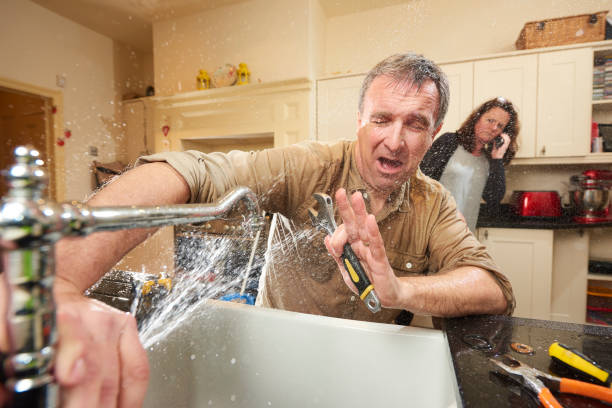 Best Water damage cleanup near me  in Lake Shore, WA